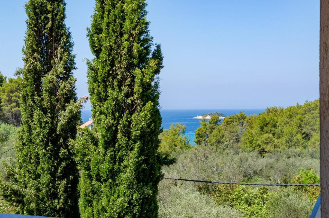 Apartment Tanja Vela Luka Buitenkant foto
