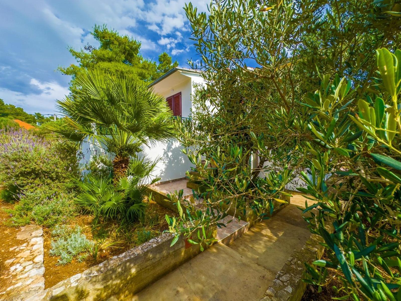 Apartment Tanja Vela Luka Buitenkant foto